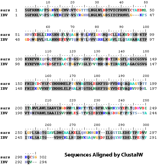 clustw align