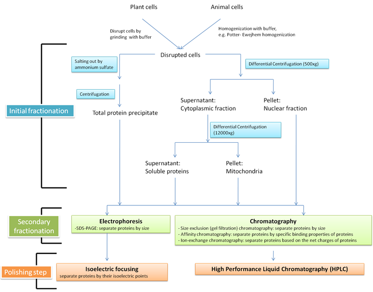 Module 1 - Protein Biochemistry Module Module 1 - Protein Biochemistry Module
