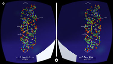 different form of dna