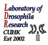 LDR logo